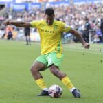 FIL SWANSEA NORWICH 247.JPG.article-642