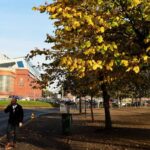 images - 2025-04-19T222433.349