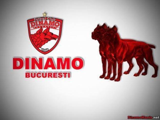 images (16)